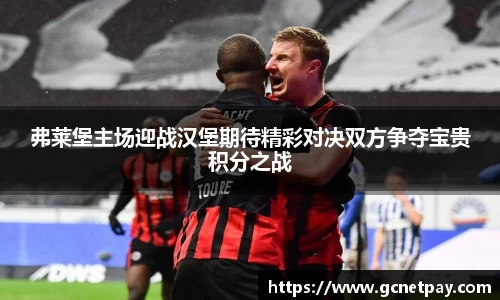弗莱堡主场迎战汉堡期待精彩对决双方争夺宝贵积分之战