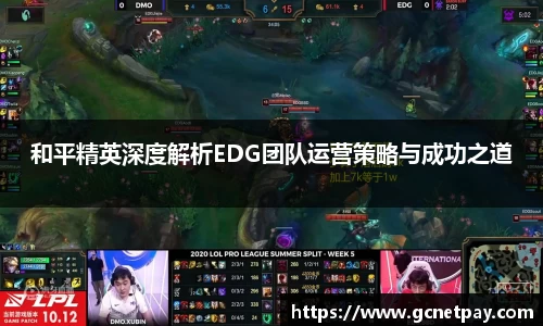 和平精英深度解析EDG团队运营策略与成功之道